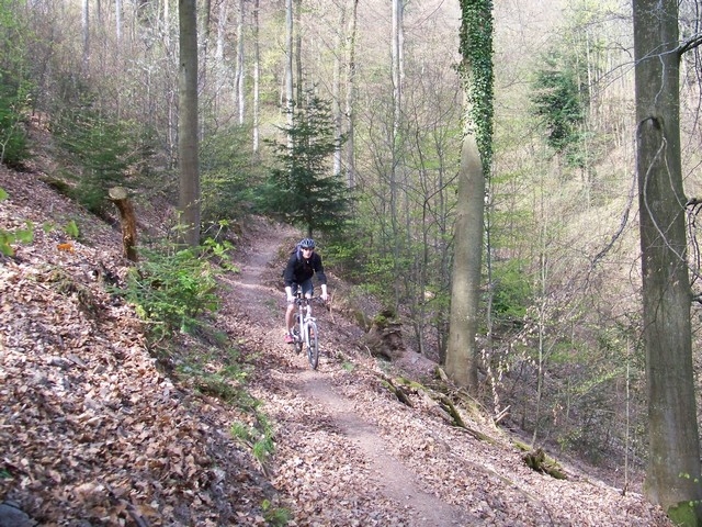  Renta de bicicletas de cerro y excursiones Morzine